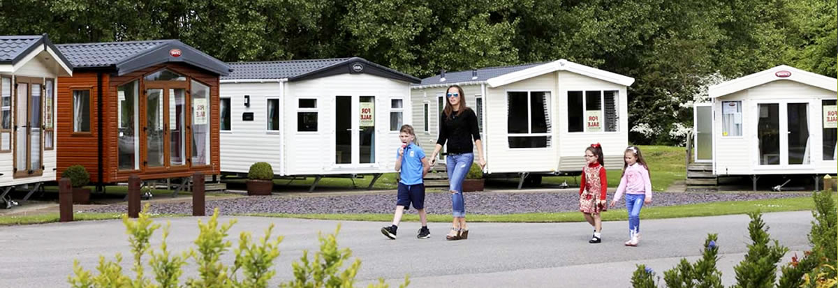Camping des nouveaux acquéreurs